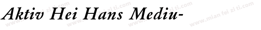 Aktiv Hei Hans Mediu字体转换